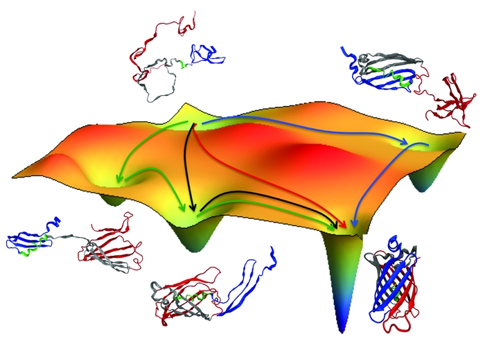 Image of Protein _Folding