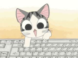 computer keyboard cat!