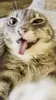 6 7 GIF via giphy.com