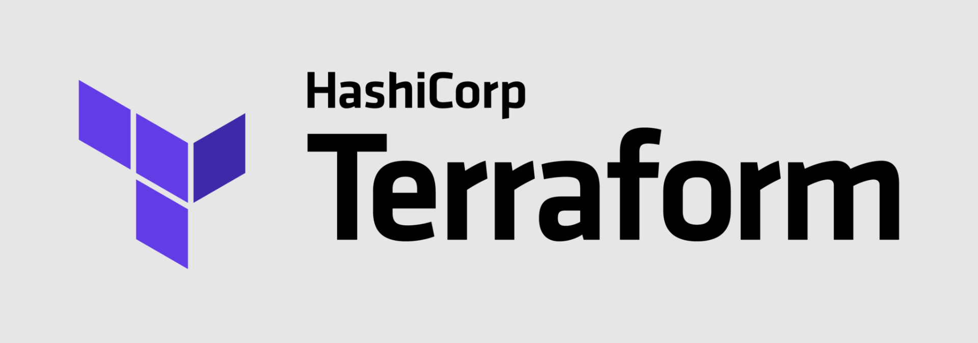 Terraform Logo