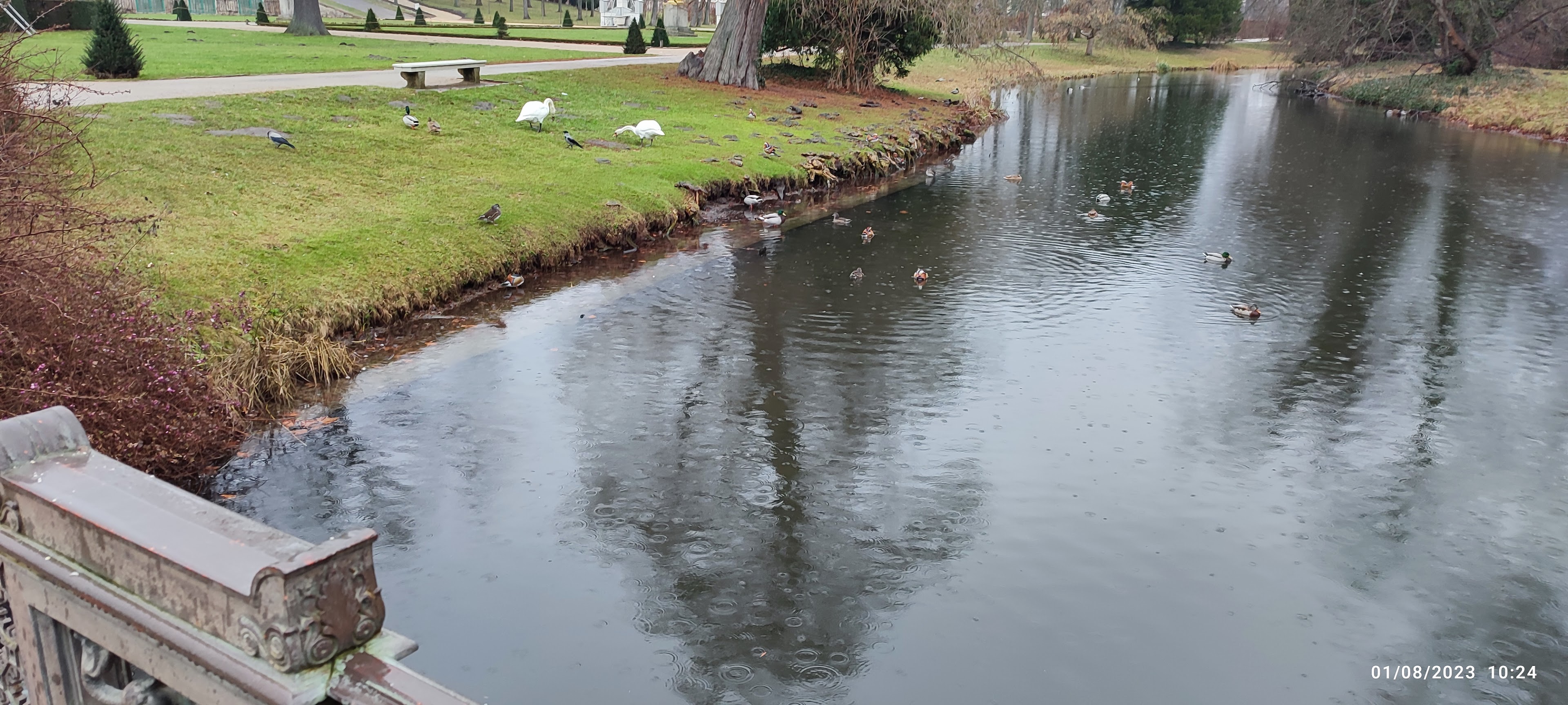 picture of a pond