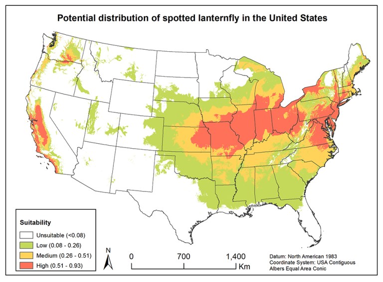 Potential distribution of spotted lanternfly in the United States