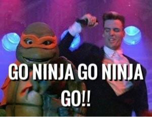 Go Ninja Go Ninja Go