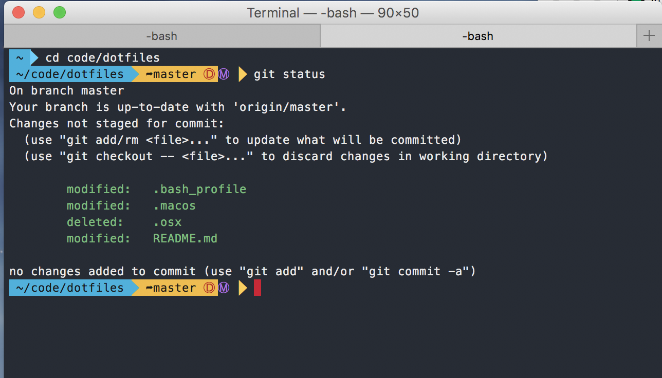 Screenshot of my shell prompt