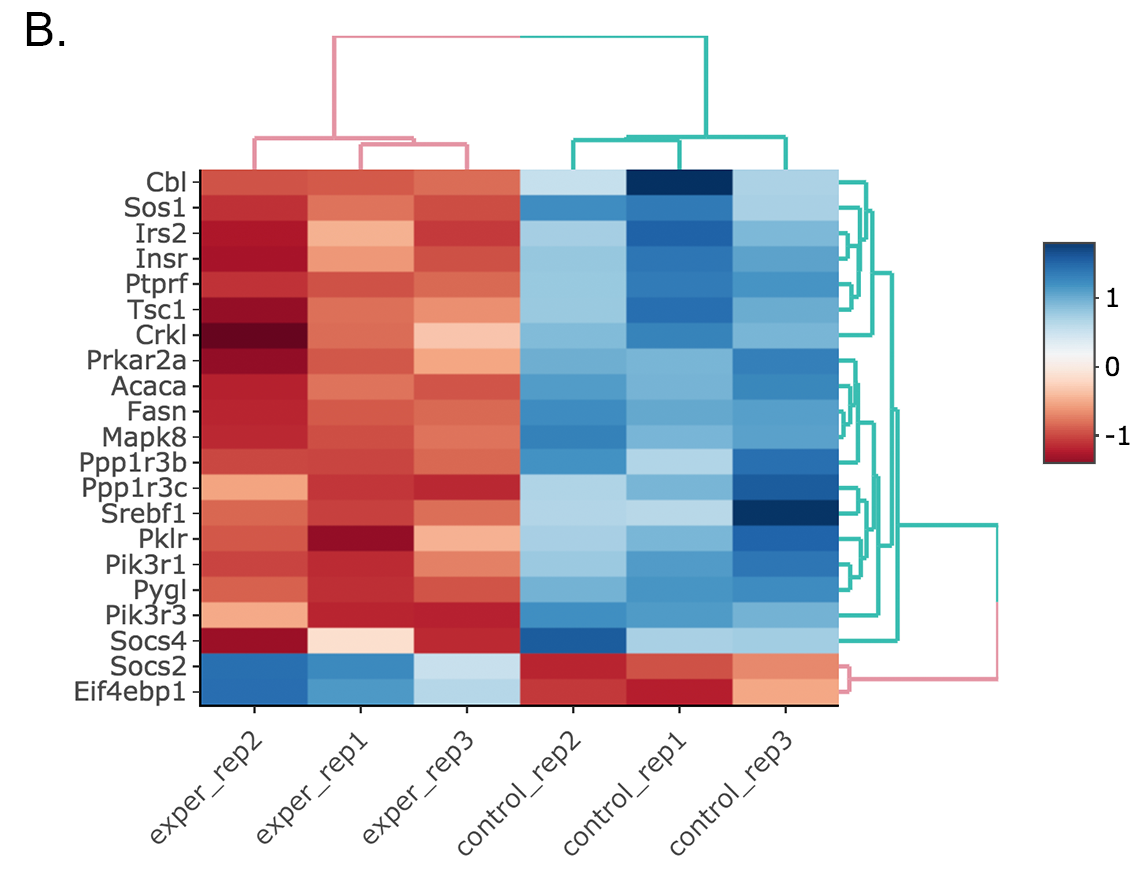 Figure 52. example scatter insulin B