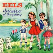 Eels - Daisies of the galaxy