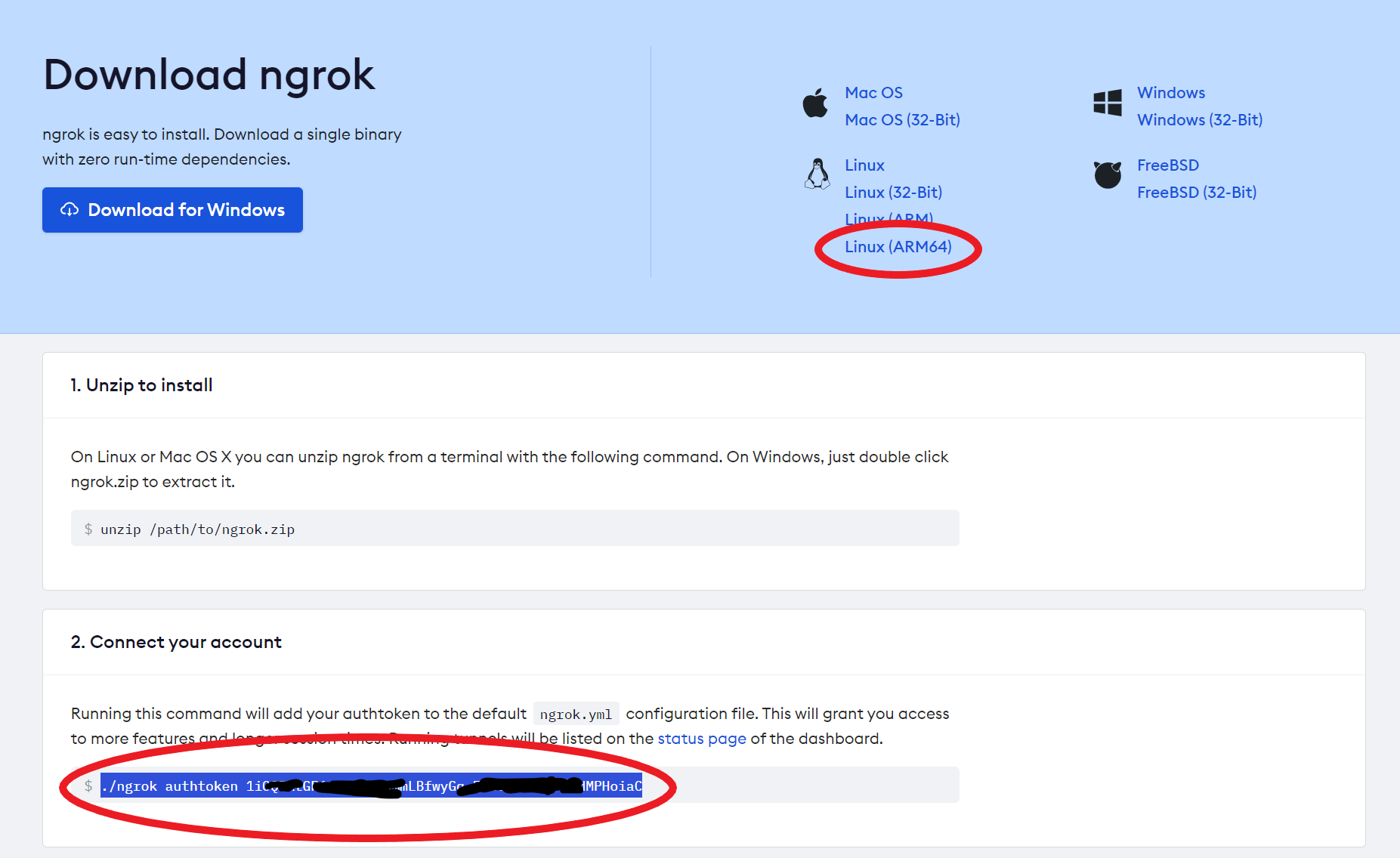 ngrok authtoken and download