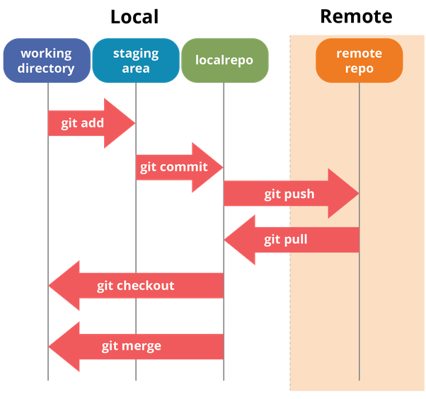 git terminology