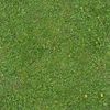 grass_png