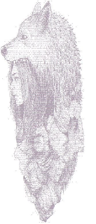 image4 ascii