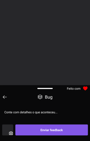 Inserção do texto e um screenshot da tela (opcional)