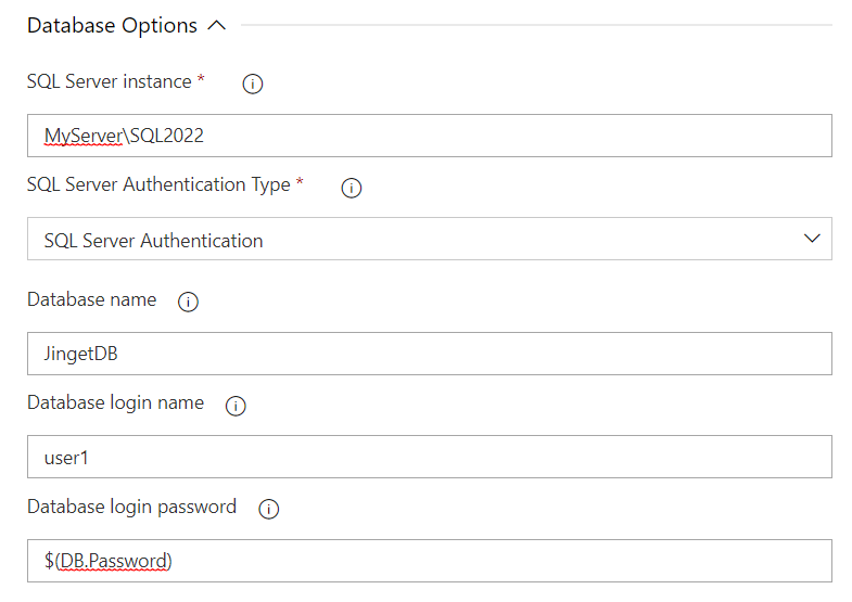 Jinget Query Runner Database Options