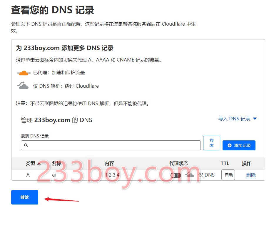 查看 DNS 记录