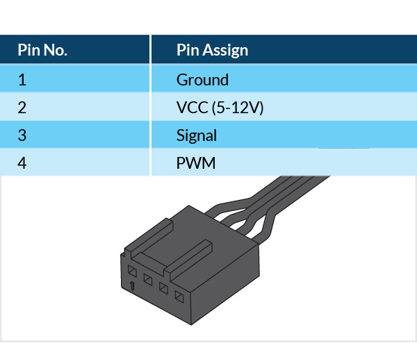 plug pinout