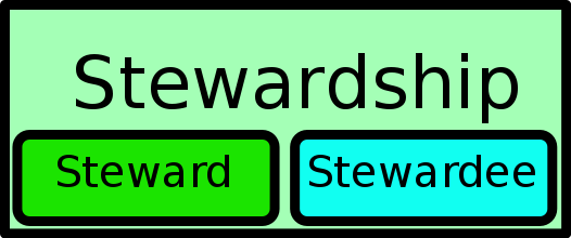 possible design of stewardship control