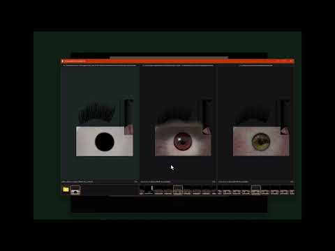 FICture2 Demo