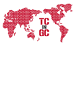 Technology Consulting in a Global Community logo