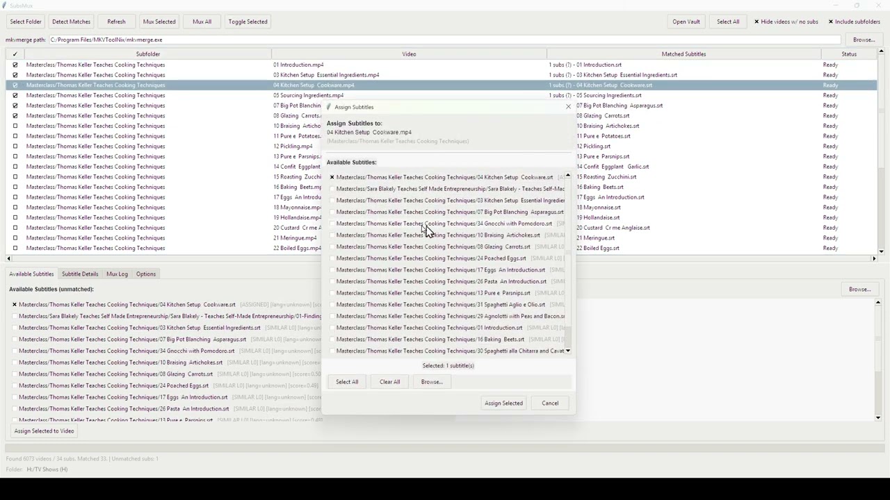 Watch the File Renamer/ BatchSubMux demo on YouTube
