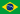 Brasileiro Português