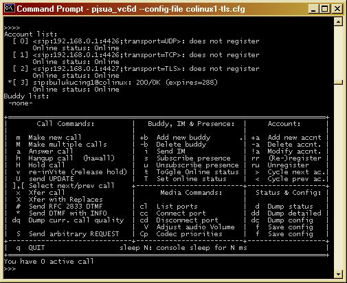 pjsua cli screenshot