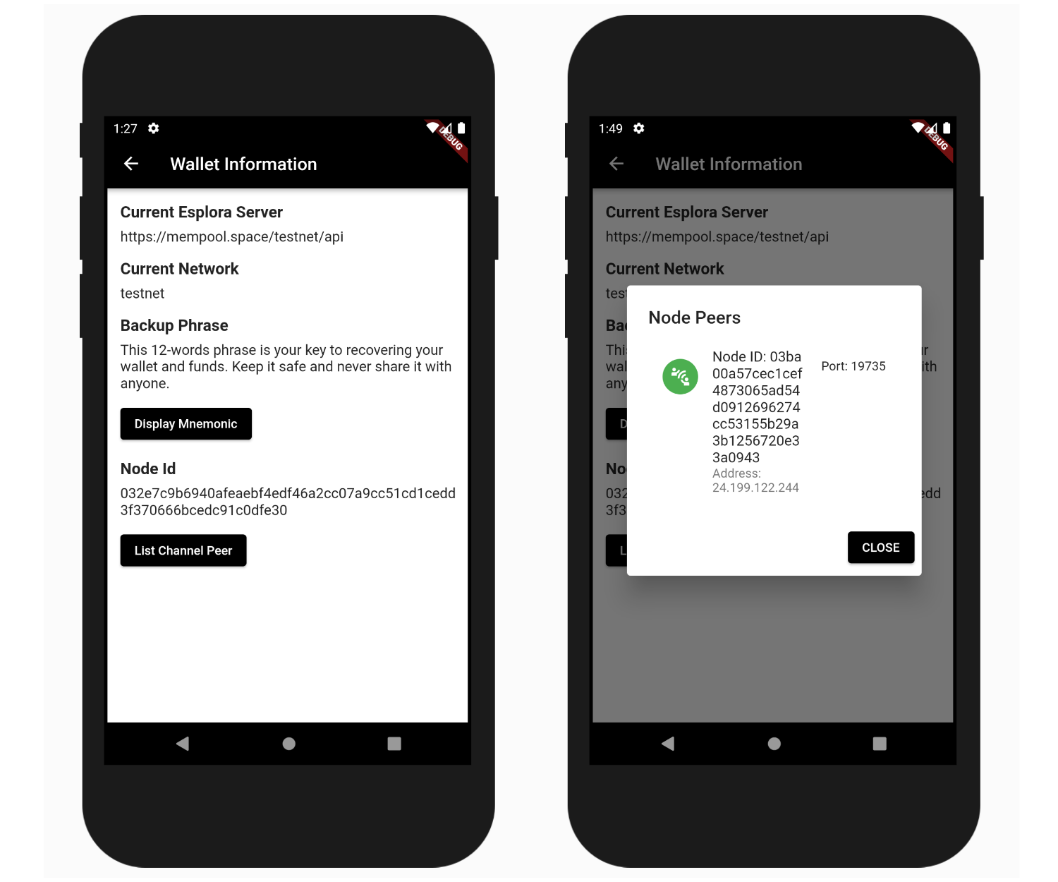 Wallet Info and Node Peers