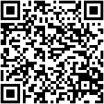 QR Preview