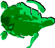 http://www.seaturtle.org/images/logo3.gif