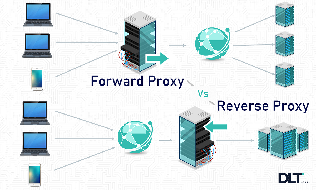 Proxy vs Reverse Proxy Diagram