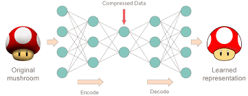 Image of Deep Autoencoder