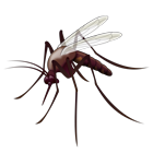 Emoji Request: Mosquito