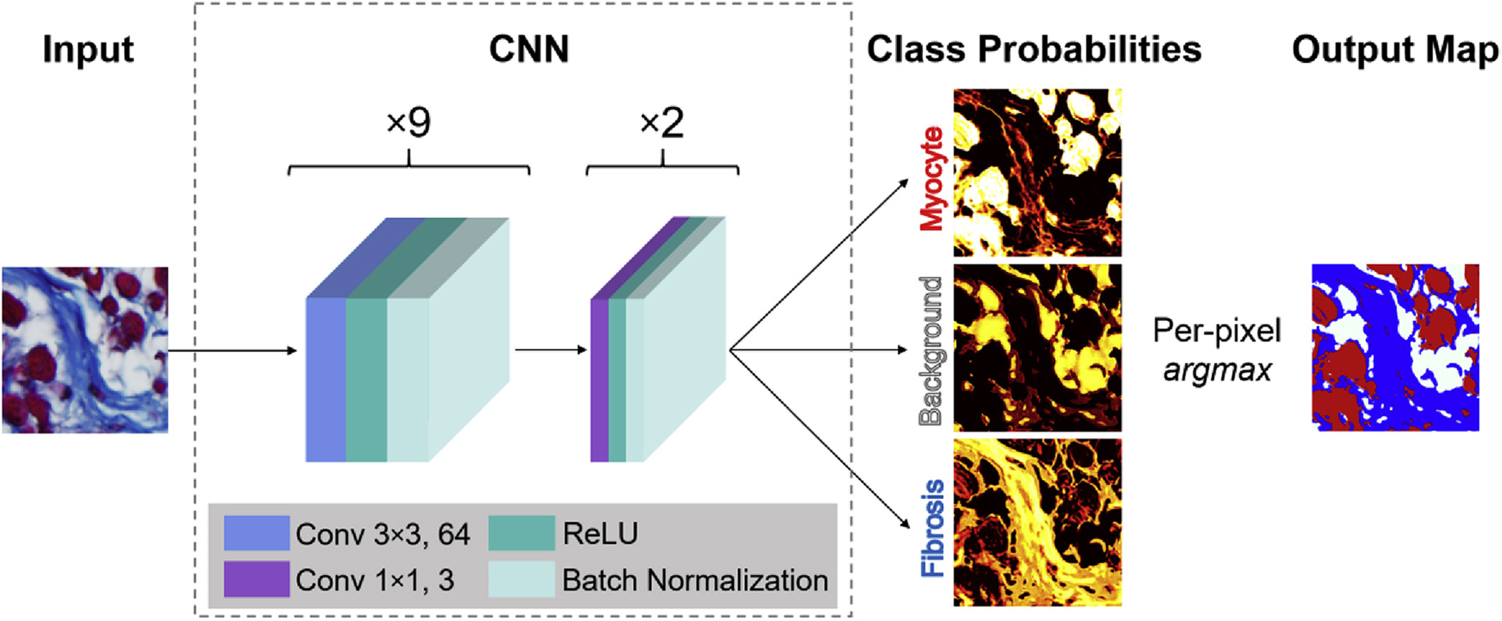 Convolutional neural network store for image segmentation