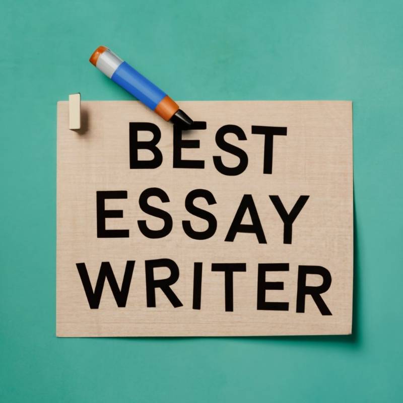 Best Essay Writer