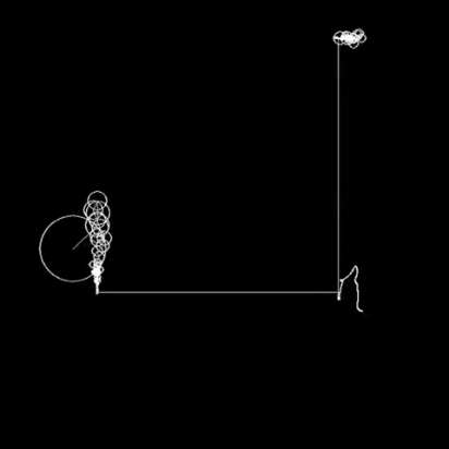 Wile E. Coyote Path Tracing