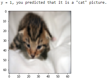 Logistic Regression Cat or Non-Cat