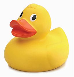 Yellow Duck