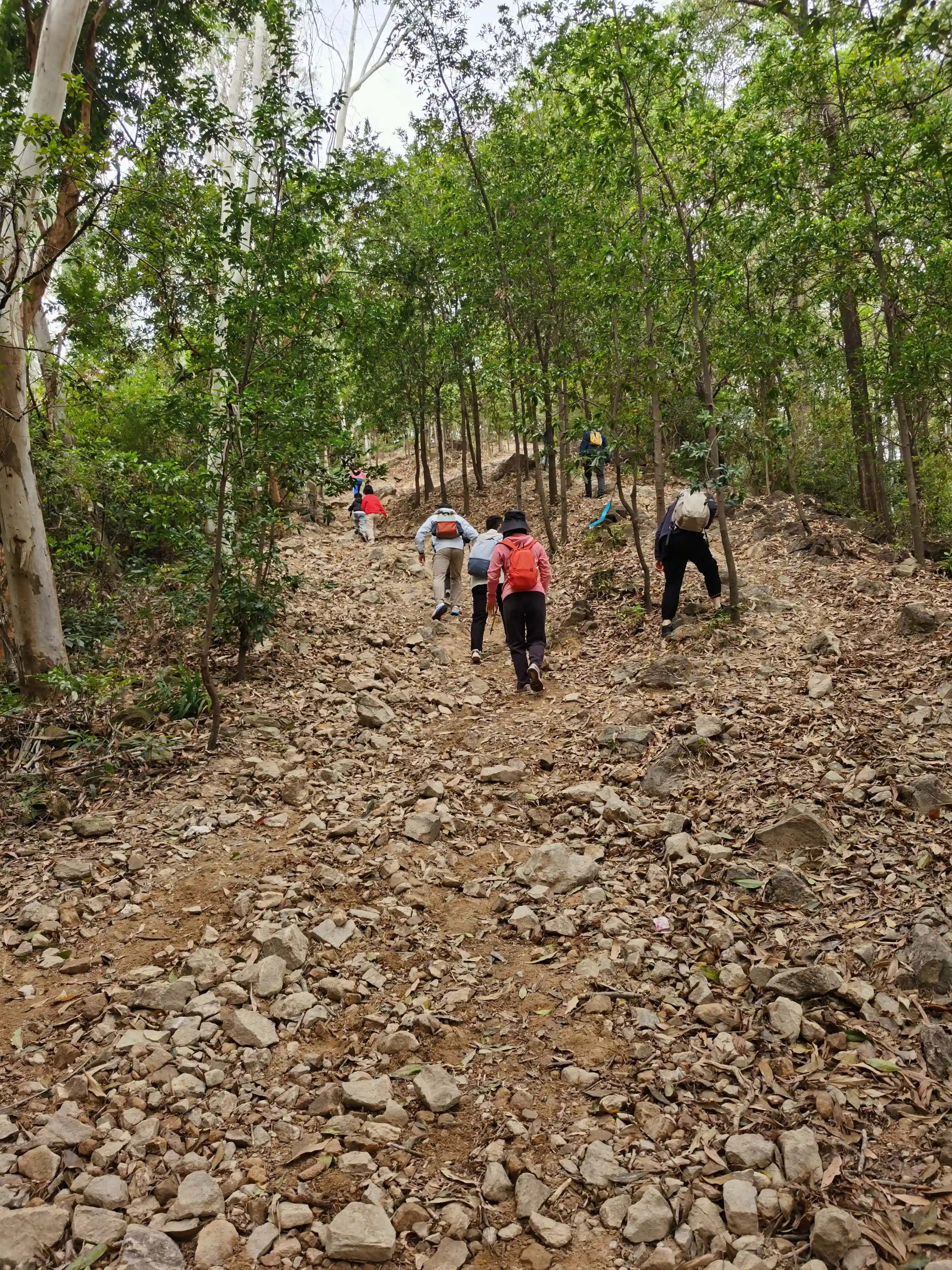 ly-climb-03