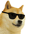 swagdoge emote