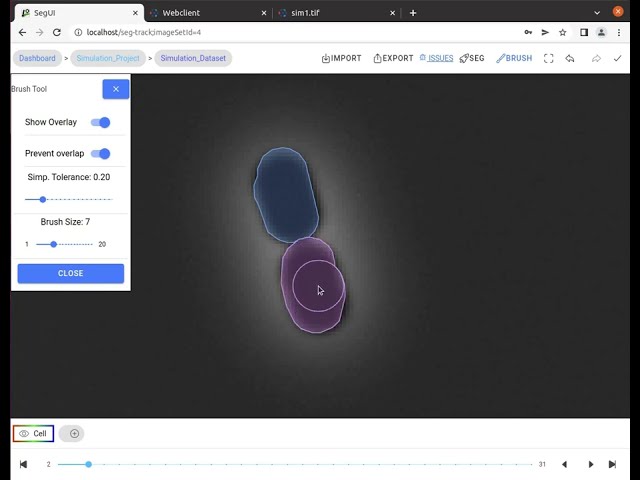 Segmentation Annotation Tutorial