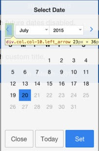 Date picker left arrow