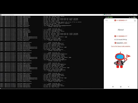 Video 4