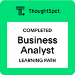 Business Analyst