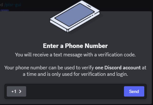 02. Users must enter a phone number to participate in the PLSR wallet on discord