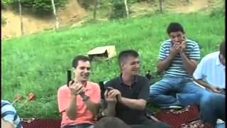 Albanians in picnic