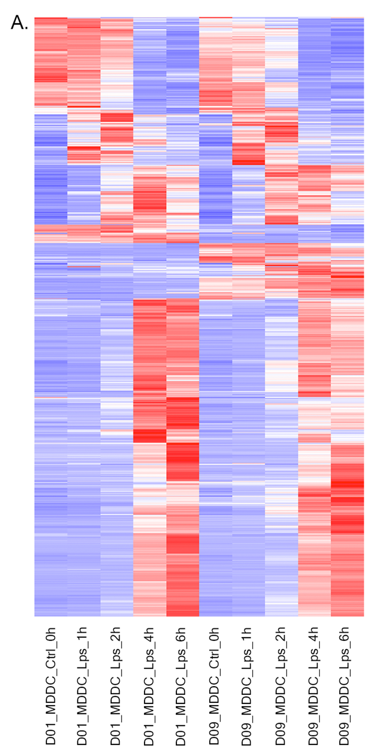 Figure 35. example heatmap before