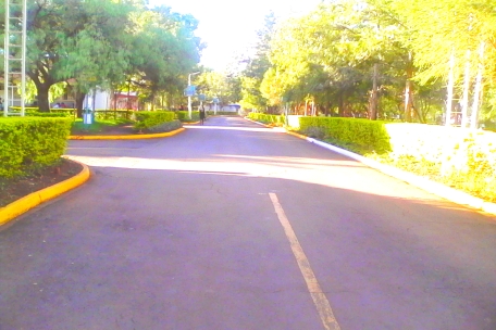 An empty pathway in Kenyatta University campus