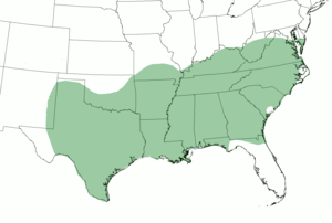 https://upload.wikimedia.org/wikipedia/commons/thumb/c/cb/Southern_dialect_map.png/300px-Southern_dialect_map.png