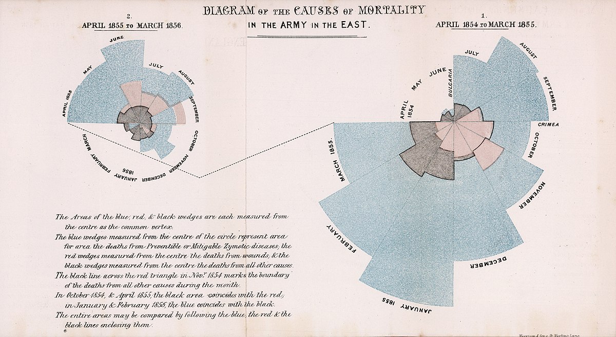 "Diagram of the causes of mortality in the army in the East" by Florence Nightingale.