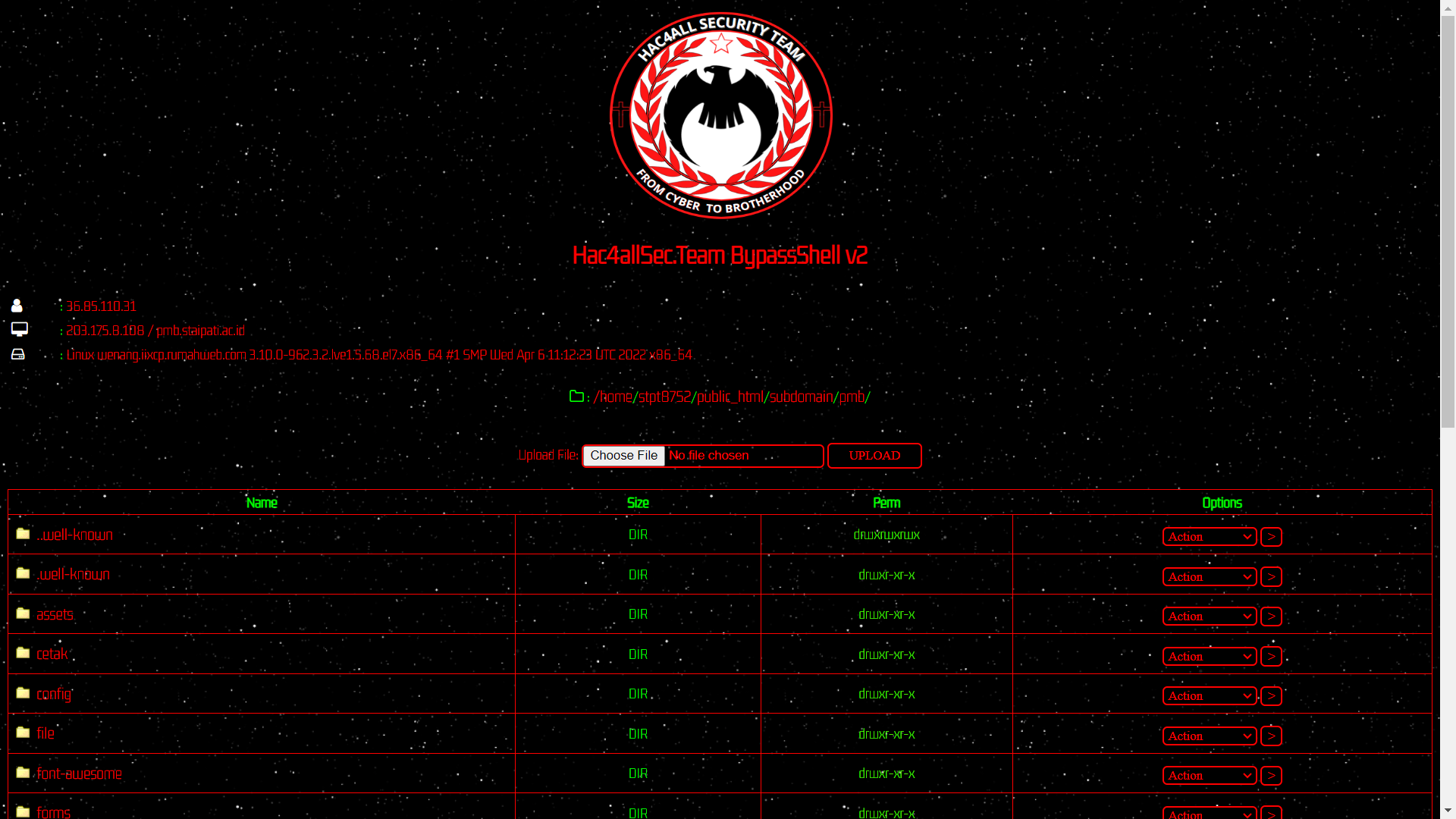 beruangsalju profile