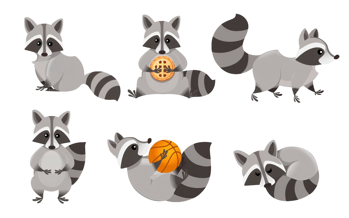 raccoons