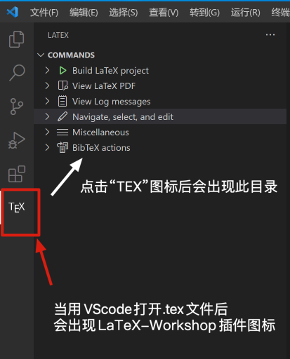 VS Code-latexworkshop-图标